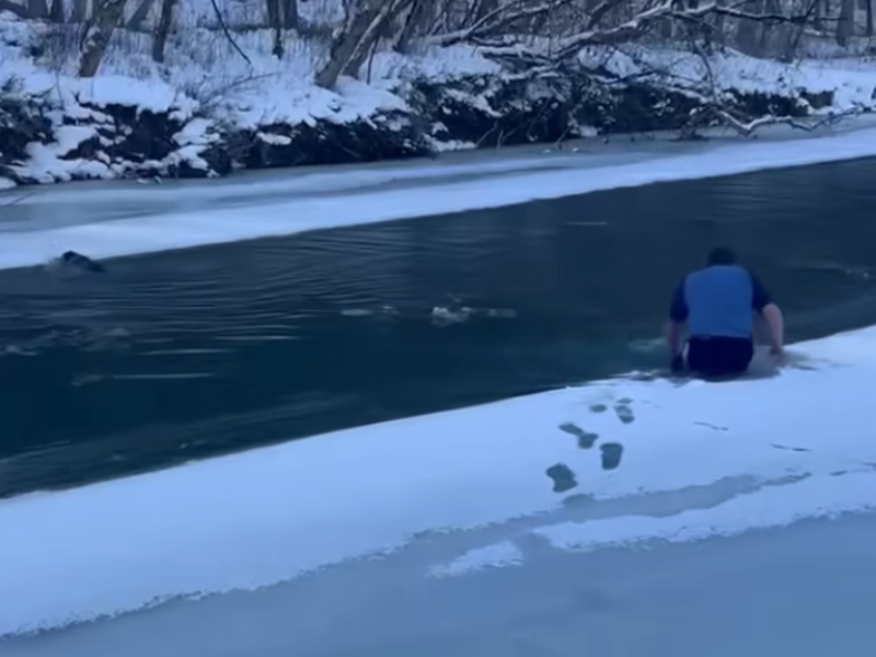 VIDEO: Man saves dog from freezing river