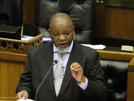 Gwede Mantashe Parli