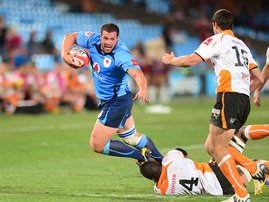 Blue Bulls front rower Marcel vd Merwe