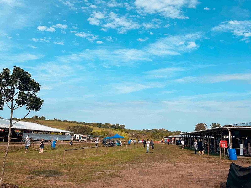 Ballito Farmers Market just opened and is a hit
