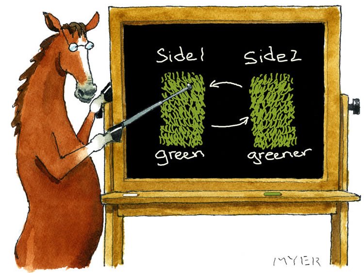 married_greener_grass_750.jpg