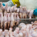 Meat imports