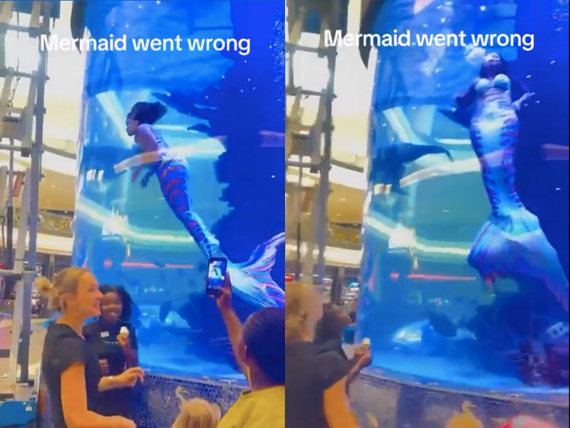 VIDEO: "Professional" mermaid narrowly escapes danger