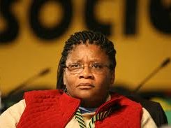 modise_1.jpg