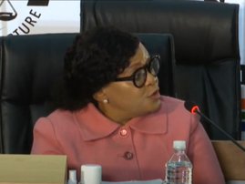 Nomvula Mokonyane at state capture