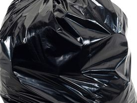 money bag.PNG