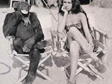 monkey-see.jpg