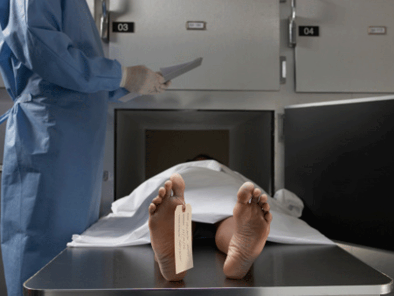 Operations return to normal at south coast mortuary