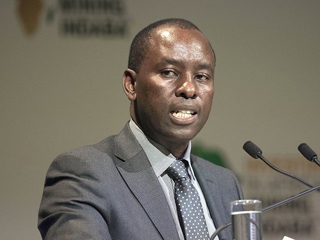 Mosebenzi Zwane_gallo