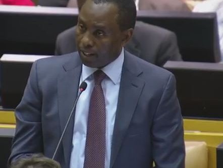 Mosebenzi Zwane parliament_parly