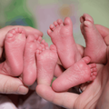Newborn baby triplets