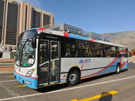 my_citi_bus_pic.jpg