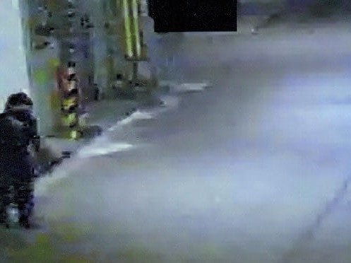 Ninja burglar