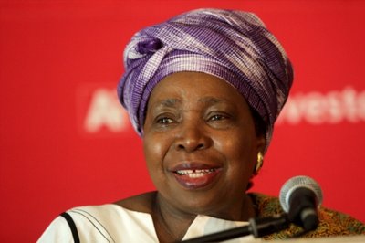 Police explains Dlamini-Zuma's protection unit