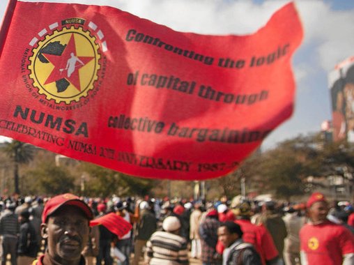 numsa gallo_2.jpg