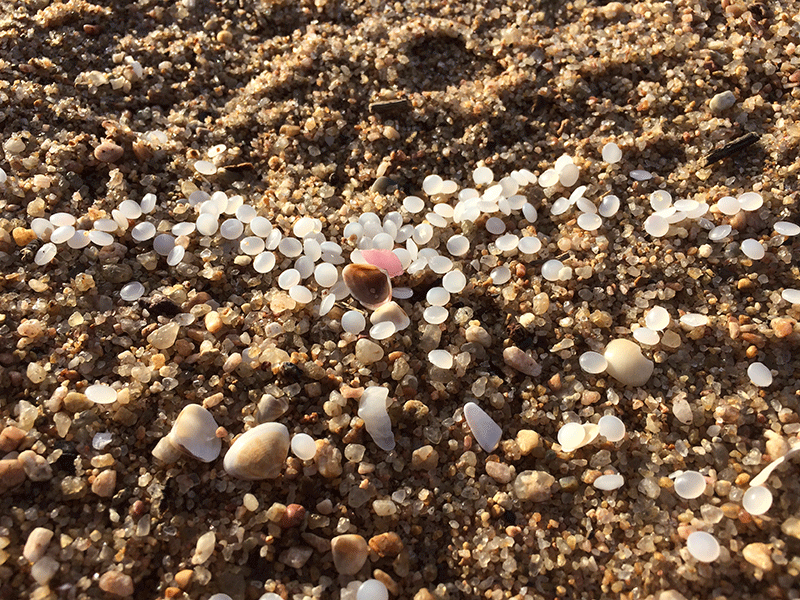Nurdles on beachfront