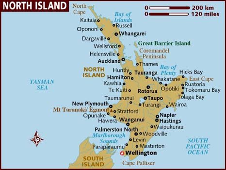 nz 1.jpg