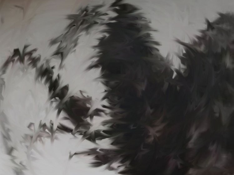Can you crack this optical illusion 