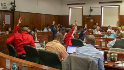 Opposition parties grappling at straws – ANC