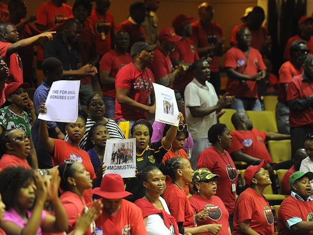 Parliamentary strike-gallo