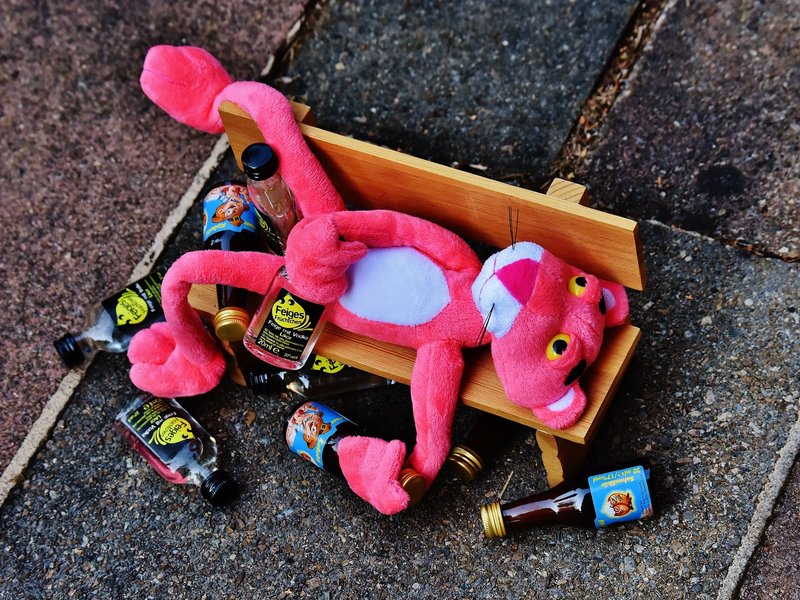 Party ANimal