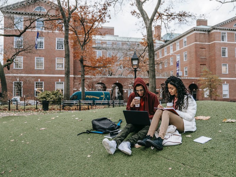 University students just learning and ensuring that their assignments are done.