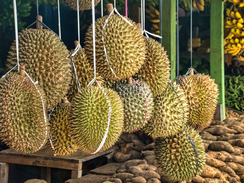 Durian