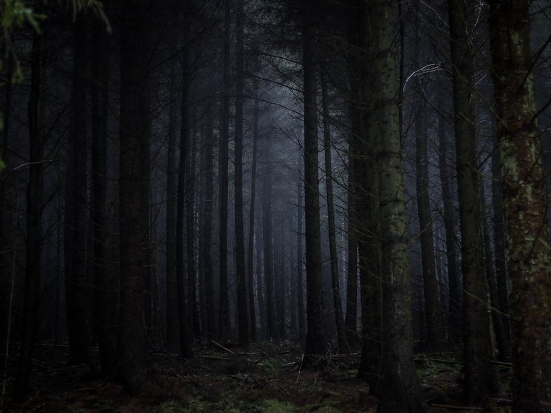 A drunk man joins the missing search party to find HIMSELF.