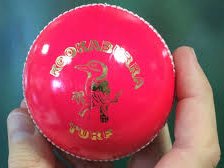 Pink cricket ball