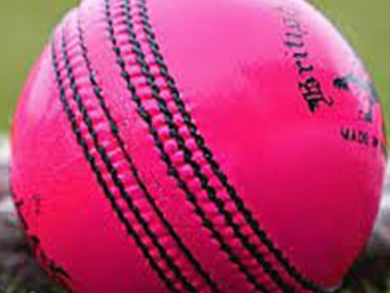 Cricket ball - generic