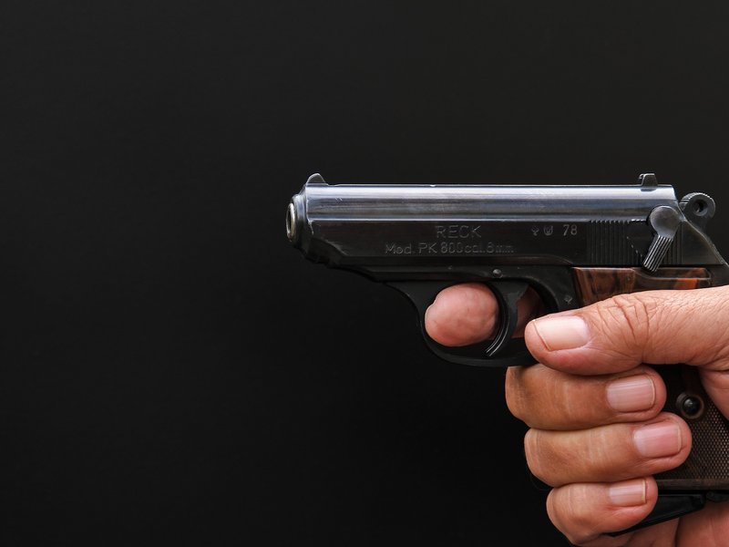 Gun