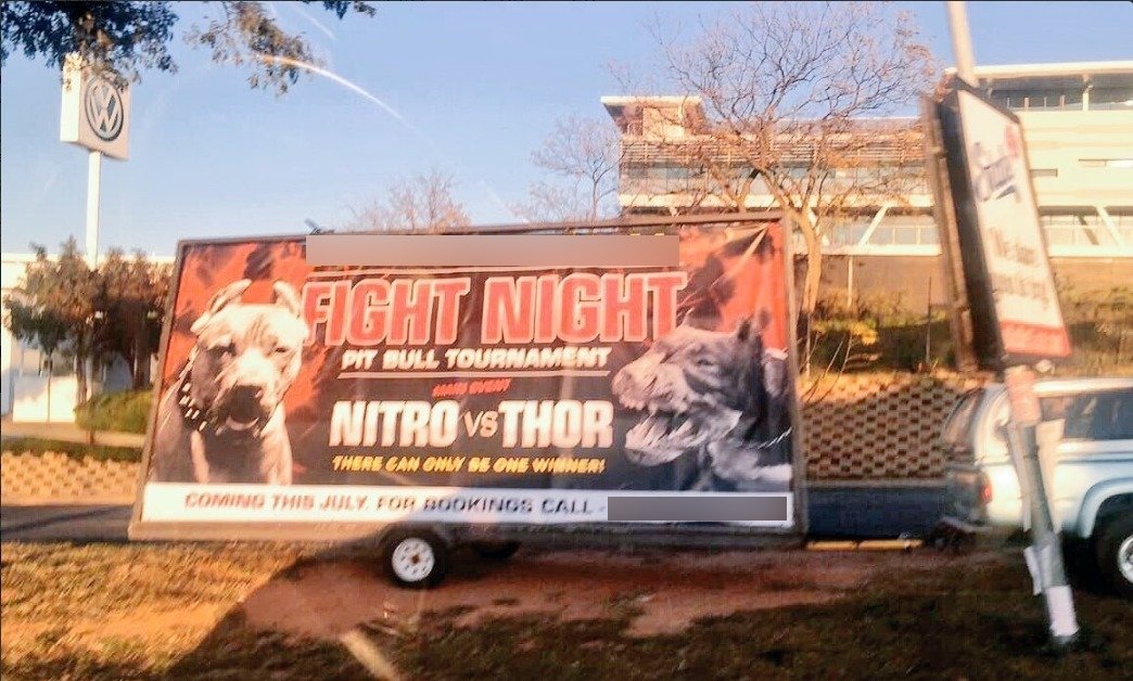 Pit bull fighting ad