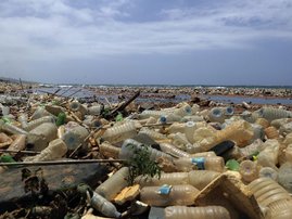 plastic bags