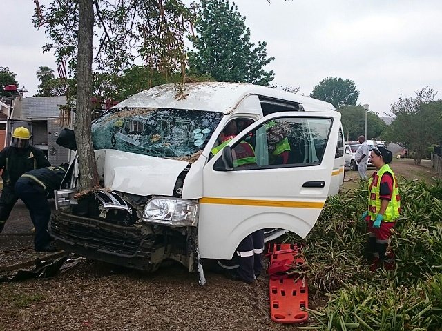 Taxi crashes into tree