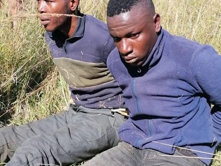 Poachers crop