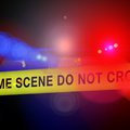 Domestic Dispute stabbing kills Woodhaven woman