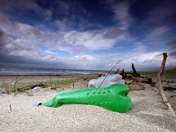 Polluted beach - generic image