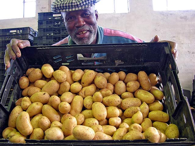 Potato farmer 