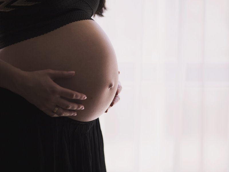 Pregnant Lady