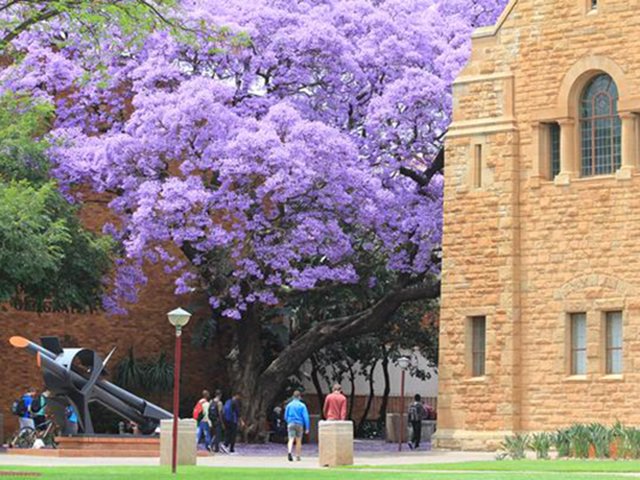 University of Pretoria