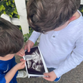 Royal Princess announces pregnancy