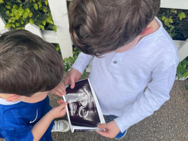Royal Princess announces pregnancy