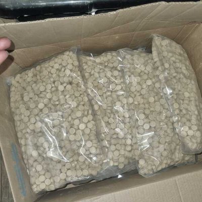 WATCH: Police uncover multimillion-rand Mandrax lab in Erasmia