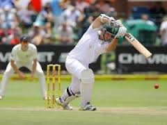proteas_1.jpg