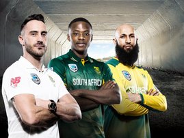 Proteas