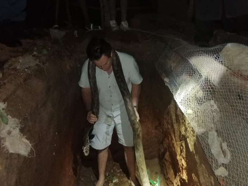 Python rescued in KZN