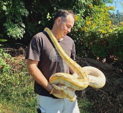 SEE: Massive python found near Westville ‘lion cub’ home