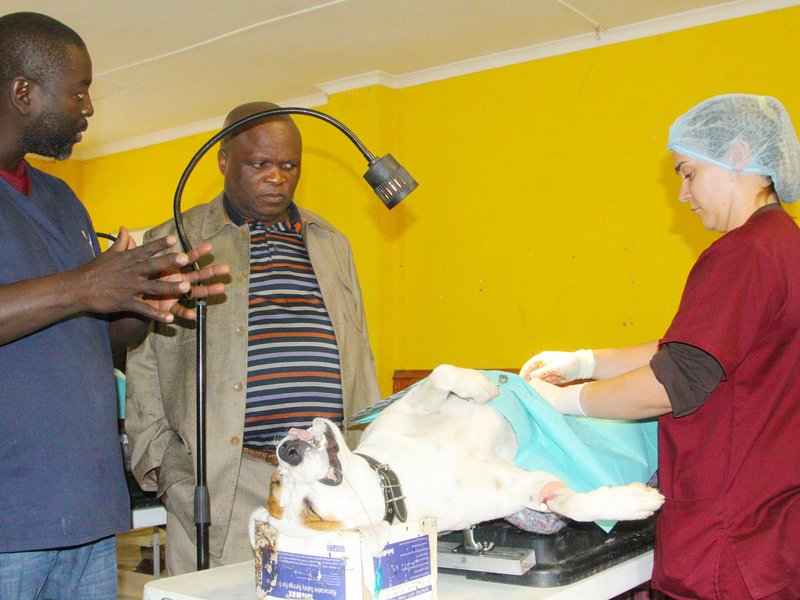 Anti-Rabies Drive comes to Durban
