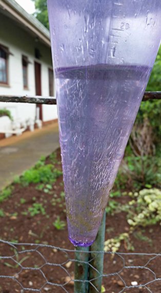 Rain - supplied