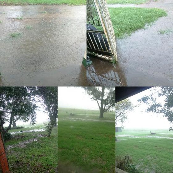 Rain - Storm Report